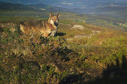Foto Pontevedra Provincia