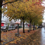 AF1QipNhfPaqdo6LfWYq3T6z30x7kZdx5qyfDtL0izLe=w426-h240-k-no