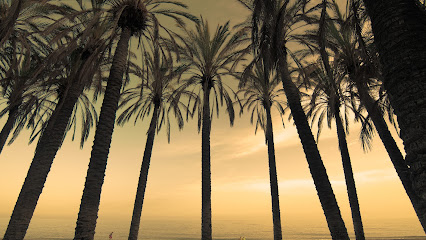 Foto Torremolinos