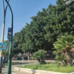 AF1QipOf1QeeHF6gDAYAvd2onlS5Ng_vXGoAXOBhcI9K=w408-h544-k-no