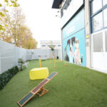 Vive - Resort para Mascotas - Fotógrafo en San Sebastián de los Reyes AF1QipP5b77LZnIVhuCFxe-oiOSHEJzp_7s6dkRp5u6M=w408-h272-k-no