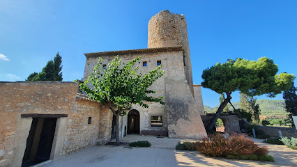 Foto Sant Pere de Ribes