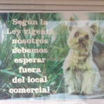 Copistería Copytoner - Fotógrafo en Laguna de Duero AF1QipPBhN_EbIxxjrPr8_d_LY9MM2kWGjUs_o0cGrzB=w408-h306-k-no