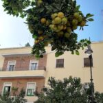 Fotografia Luis Alonso - Fotógrafo en Huelva AF1QipPQF2EjciIweM5OsL5Y7AymXeQC4BrVO63fuPei=w408-h816-k-no