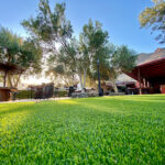 Finca Alemán Lemes - Fotógrafo en Los Corralillos AF1QipPRxQN0JbBbr6foPYBFiMsUhwjX769i1P3OQ44D=w408-h306-k-no