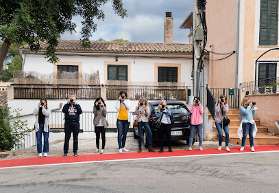 Foto Palma