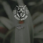 Mateo Soriano Fotografía - Fotógrafo en Sevilla AF1QipPqzlxhBWRzlPjvb0eQXZIm8LY9BeOvW_pa2aSk=w408-h272-k-no