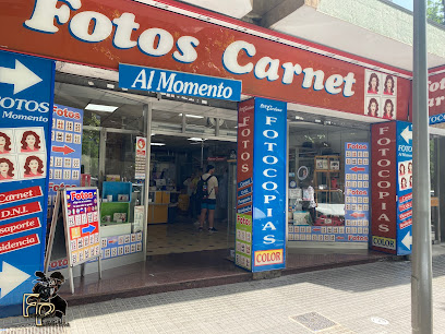 Foto Palma