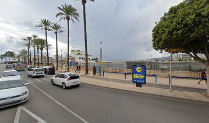 Foto Palma