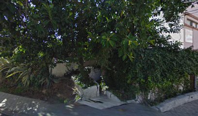 Foto Santa Cruz de Tenerife Provincia
